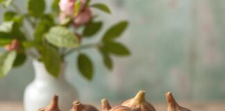 Figs, a delicious fruit