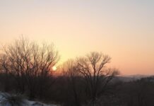 Benefits of waking up before sunrise