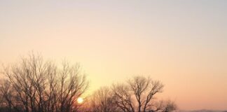 Benefits of waking up before sunrise