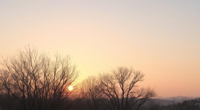 Benefits of waking up before sunrise